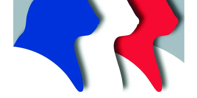 Comment devenir éleveur de chats en France ?